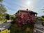 Immagine 21