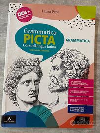 Grammatica Picta