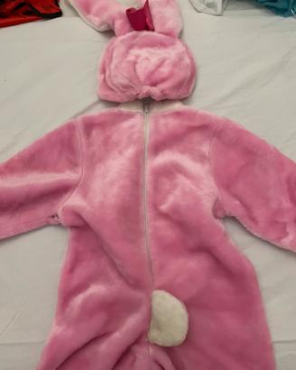 costume  coniglio