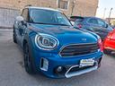 mini-cooper-d-countryman-2-0-untamed-edition-count