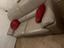 Immagine 2