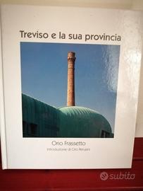 Libro Treviso e la sua Provincia 