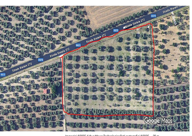 Terreno agricolo sem arborato uliveto