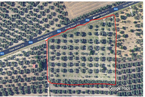 Terreno agricolo sem arborato uliveto