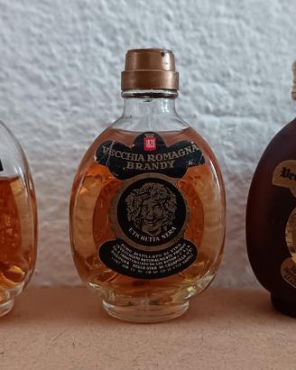 MIGNON VECCHIA ROMAGNA BRANDY BUTON 