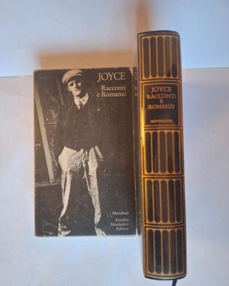 Joyce – Racconti e Romanzi – I Meridiani Mondadori