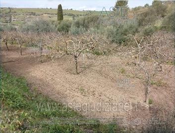 Terreno Agricolo Chiaramonte Gulfi [A4347780]
