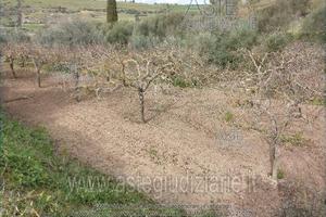 Terreno Agricolo Chiaramonte Gulfi [A4347780]
