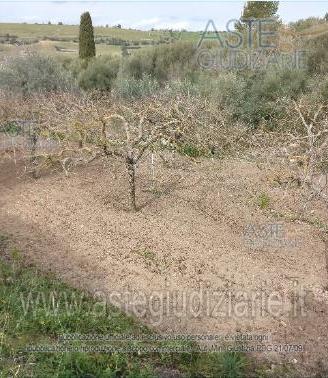 Terreno Agricolo Chiaramonte Gulfi [A4347780]