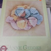 Puzzles : Anne Geddes