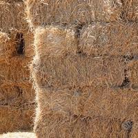 Ballette di fieno Verona