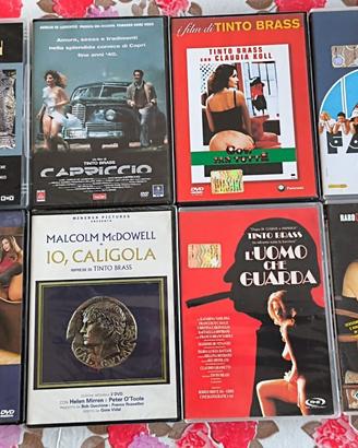 Collezione dvd Tinto Brass