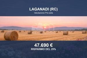 Immobile in asta di 981210 m² a Laganadi