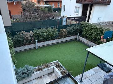 Tra 15 e 20 vasi con gelsomino e altre piante