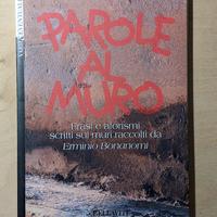 Parole al muro, Erminio Bonanomi 1996