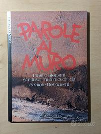 Parole al muro, Erminio Bonanomi 1996