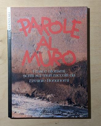 Parole al muro, Erminio Bonanomi 1996