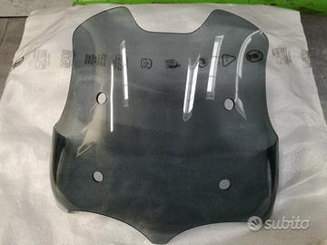 Cupolino Moto Guzzi V85