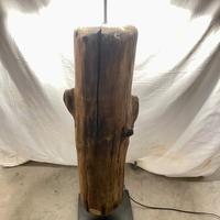 Lampada su tronco di albero