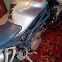 Morini