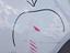 Immagine 14