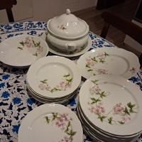 Servizio piatti ANCAP