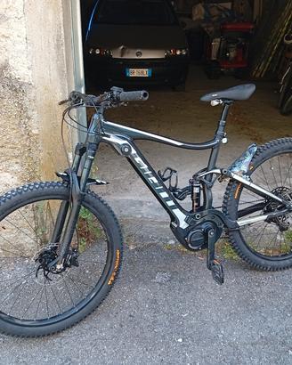 e bike giant e+1 