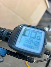 Ebike trek carbonio