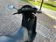 Immagine 12
