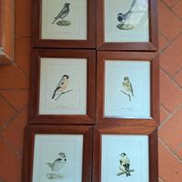 stampe con cornice in legno