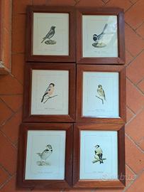 stampe con cornice in legno