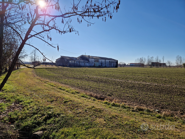 Terreno agricolo con annessa ex stalla