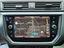 Immagine 14