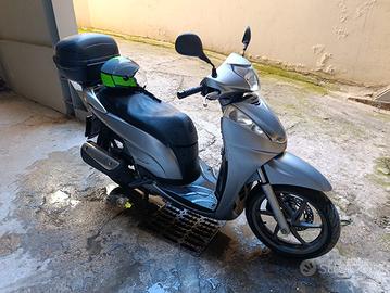 SH 300 2009