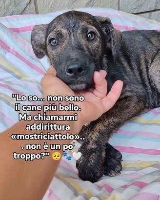Geronimo salvato dalla casa degli orrori  🥹 
