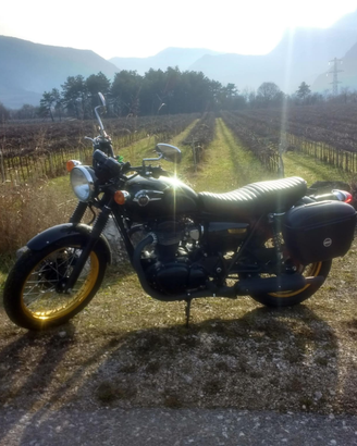Kawasaki W800 Special Edition