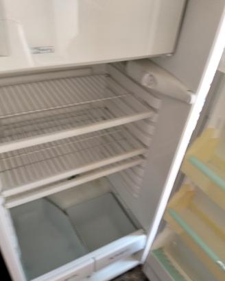 frigo da incasso rex