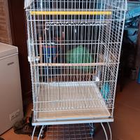 gabbia per pappagalli 