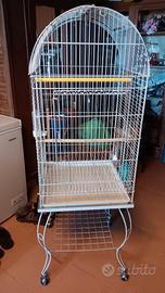 gabbia per pappagalli 