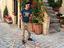 Immagine 4
