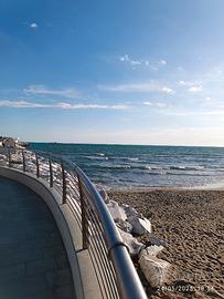 M.di Carrara estate 2026