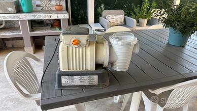 Pompa piscina (motore)