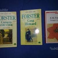 Forster camera vista, casa Howard, passaggio india