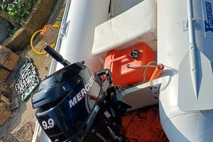 X marine 320 con Mercury 9,9