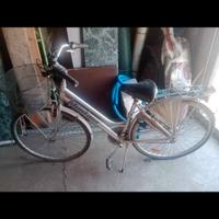 bicicletta donna 