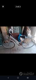 bicicletta donna 