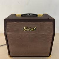Amplificatore per strumenti acustici Belcat