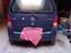 Immagine 3