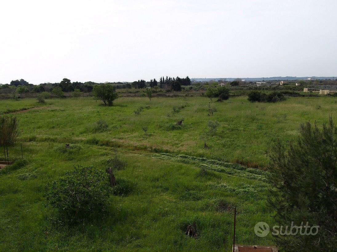 Agro di Gallipoli terreno 22000 Mq - Vista 5