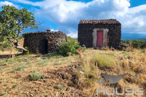 Ragalna - terreno agricolo id: nra116t